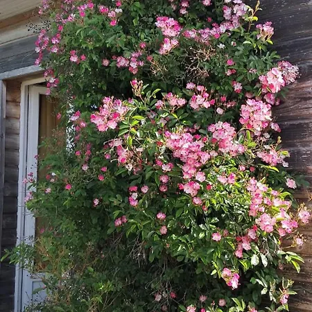 Сasa de vacaciones Cosy 2 Persons With Free Wifi And Parking Chez Mostarlic